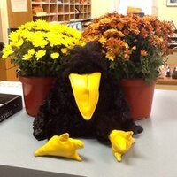 Russell Boulevard (@rusblvd) 's Twitter Profile