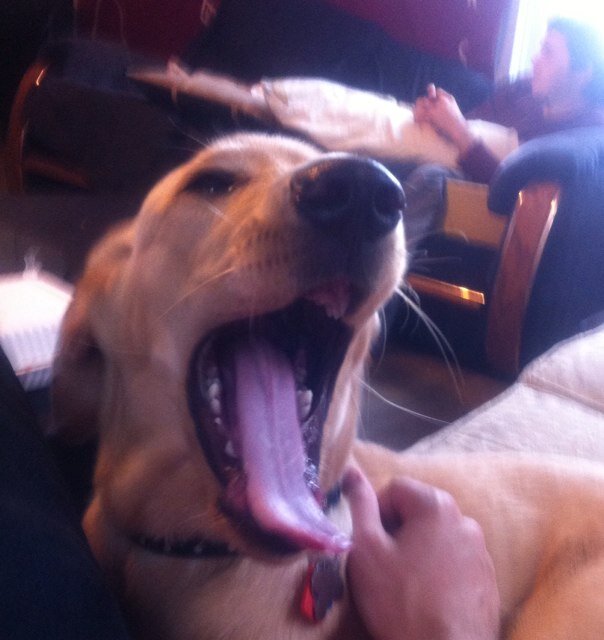 Rad_Tindy's profile picture. Central Ass New York