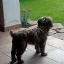 Eric Alfredo Medrano - @Eric_9_91 - Twitter