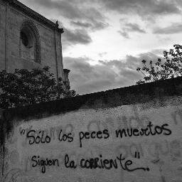 La verdad nos hará libres
