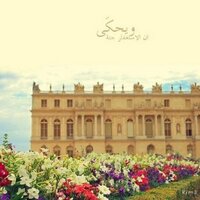 أماني الوادعي (@amani_a_w) 's Twitter Profile