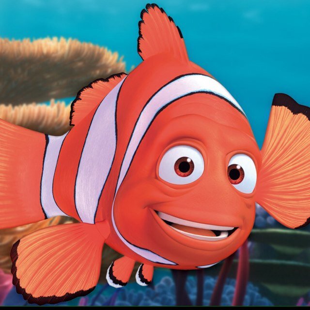 NemosFather's profile picture. Just another fish trying to find my son.