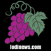 Lodi News-Sentinel (@lodinews) Twitter profile photo Lodi News-Sentinel (@lodinews) Twitter profile photo