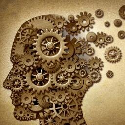 CognitiveBias7's profile picture. Nerdy content for analytical minds. With a preference for anything insightful, quirky or perplexing.