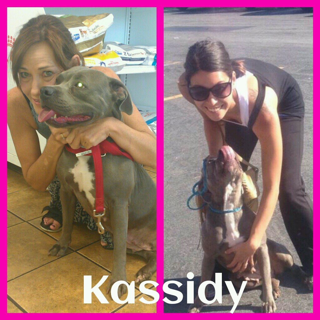 Dedicated to raising funds for Kassidy and help find her forever family. Thank you for your support!