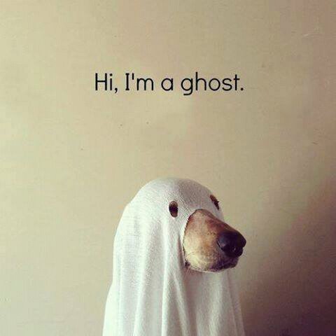 spongebob9813's profile picture. Random girl! Like to have fun when ever possible :)