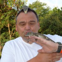 Mark Chat (@markchat0250) 's Twitter Profile