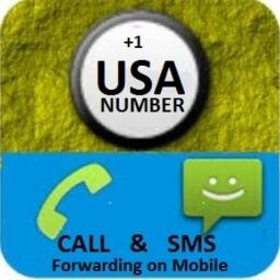 We configure any phone number into a U.S Virtual Number that Make/Receive Calls and Sms. Use your existing Sim. We Provide US PayPal SMS Verification.