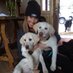 Langely McNeal (@langemcneal) Twitter profile photo Langely McNeal (@langemcneal) Twitter profile photo
