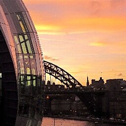 Neuroconference's profile picture. Practical Neurology for Junior Doctors conference to be held in Newcastle on June 9th 2016