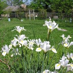 maizisummer's profile picture. wife, mom, grad student in counseling psychology,  seeker of authenticity and understanding