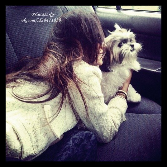 bruno_lacavalie's profile picture. kjk