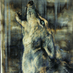 Lesley Cargill Art (@cocoroosterst) Twitter profile photo Lesley Cargill Art (@cocoroosterst) Twitter profile photo