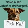 SAVE_R_Animals's profile picture. Help SAVE a Shelter Animal today! Rescue, Foster, Transport, Adopt, Donate, RT, or SHARE our posts on Facebook with everyone you know. Networking SAVES lives!