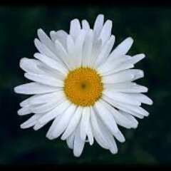 #Justice4Daisy. #Justice4Paige. Expect us.