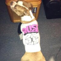 Mandy (@mandaloo85) Twitter profile photo