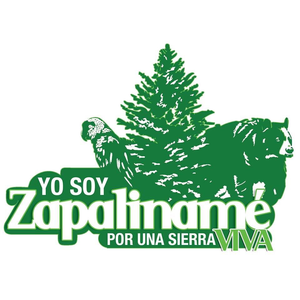 “Yo soy Zapalinamé. Por una sierra viva” es una campaña visual para promover la conservación de la Sierra Zapalinamé.