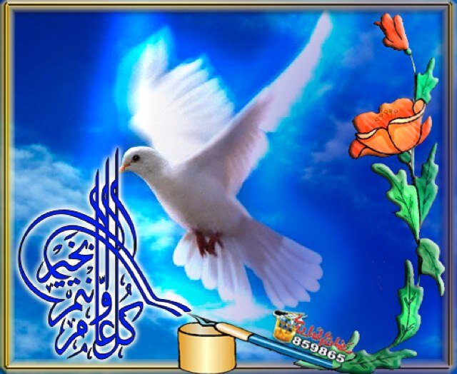 ولله العزة ولرسوله وللمؤمنين