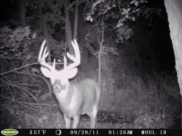 LiveBigIA's profile picture. 