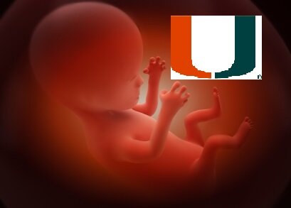 UMPremGen's profile picture. A dynamic group of scientists at the University of Miami with diverse expertise who are interested in a transdiscplinary approach to prematurity research.