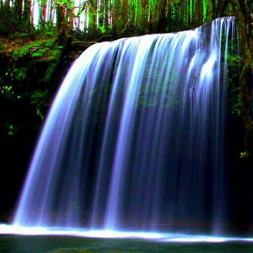 HamChef's profile picture. Man of the man