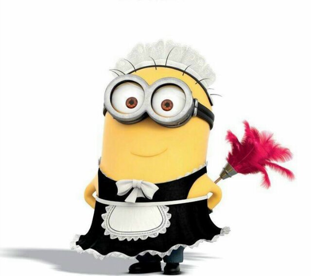 Angus:I know what makes you a boy.Gru: Uh..you do? A:Your bold head. G:Oh yes. A: Its smooth sometimes I stare at it and imagine like chicks popping out!..