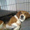 Ryan crean - @ryan_crean - Twitter