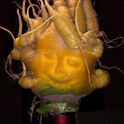 ConnieManes's profile picture. All this nature has gone to my head