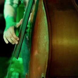 Bassist