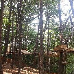 echallenge131's profile picture. 