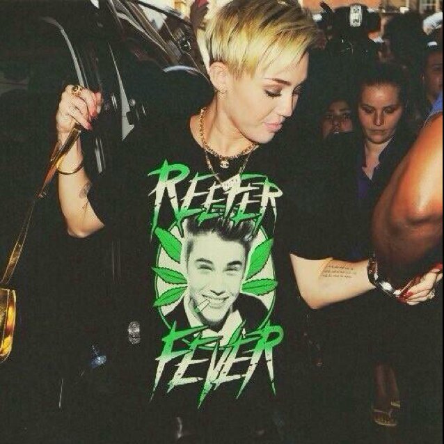 The fox says, Fuck off weirdo, stop singing about me. |RP/FL|