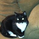 melissa - @melissa_scotti - Twitter