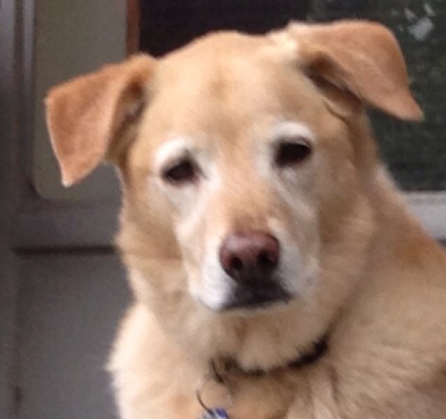 milo4bee's profile picture. 