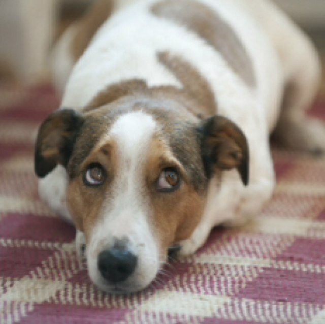 TrudatPoems's profile picture. We ALL do it