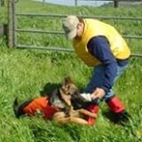 Free photography of Law Enforcement and SAR K-9's and their handlers. See the photographs at http://t.co/veIkuwpRtR
