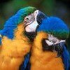 За жизнь женщина должна покинуть дом трижды: когда её крестят, когда выдают замуж и когда хоронят.