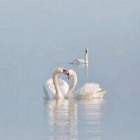 Hanaa (@hanaa_61) Twitter profile photo