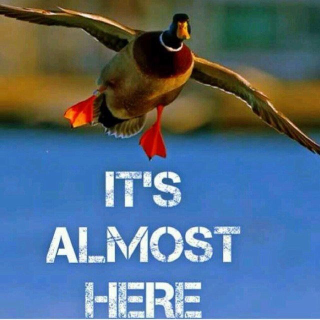 Illinois Waterfowl hunters
 #IfItFliesItDies #DrakeDrillers