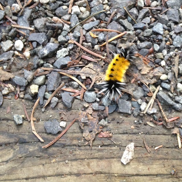 helloseptember's profile picture. 