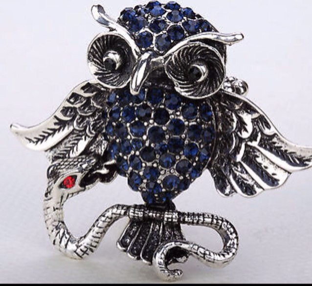 Owl Lover, Shopper, Seller, Jewelry Fanatic