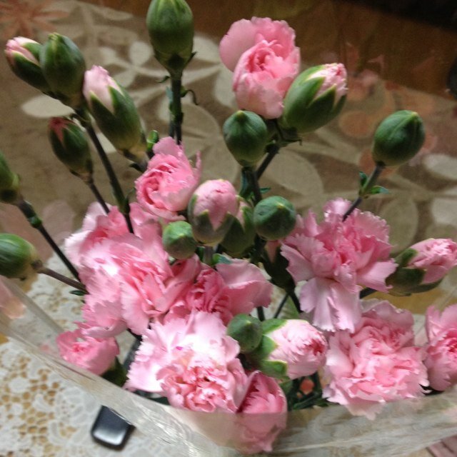 JohNakasone's profile picture. 