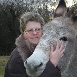 EAinardi's profile picture. 