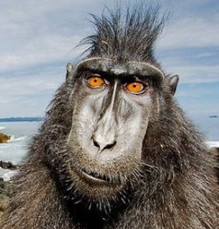 MWolstencroft's profile picture. 