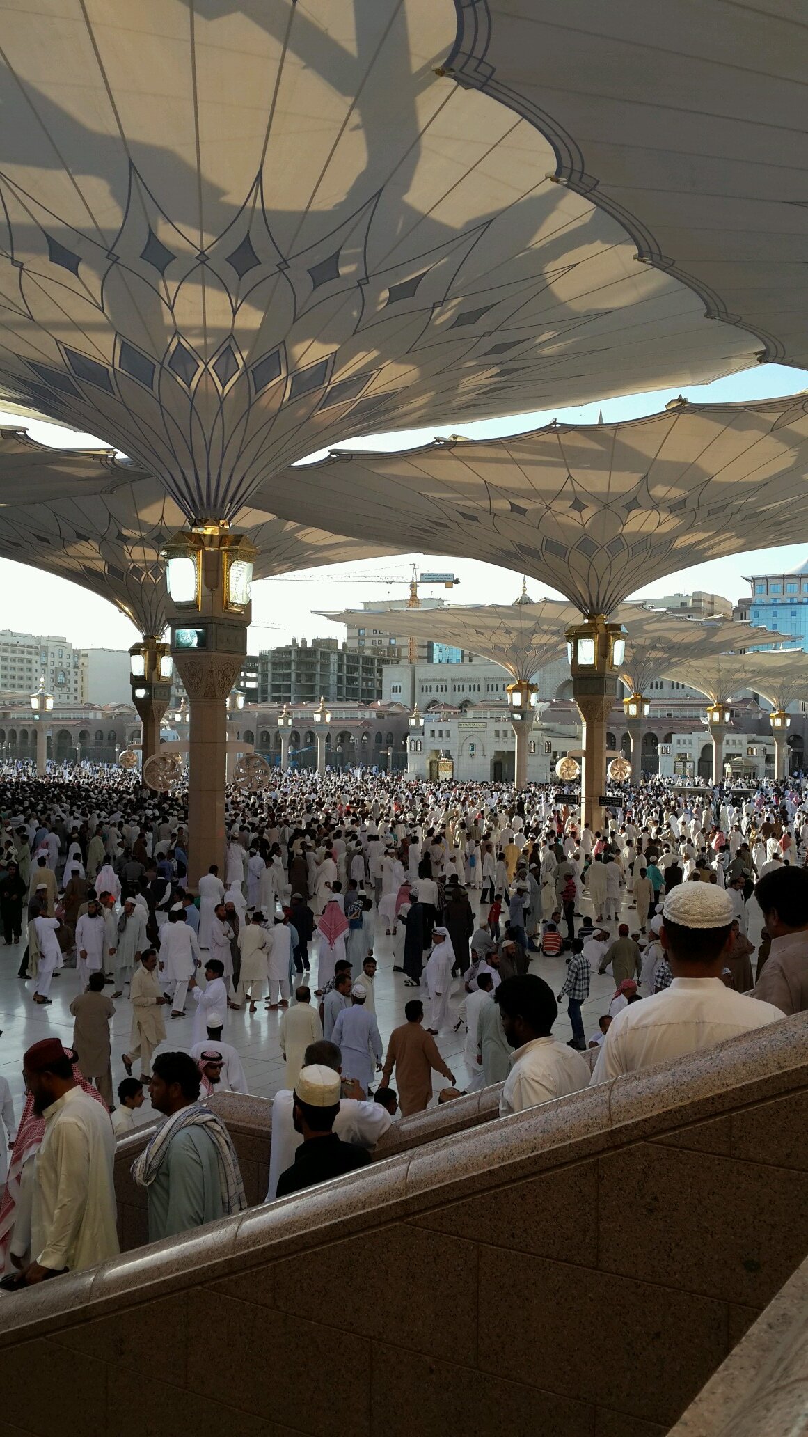 عبد الله وابن عبد الله ومحب لرسول الله