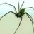 pgalvanlamet's profile image