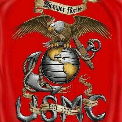 I'm a proud Marine and conservative, lets take our Country back from the left, GO DETROIT TIGER'S GO WINGS