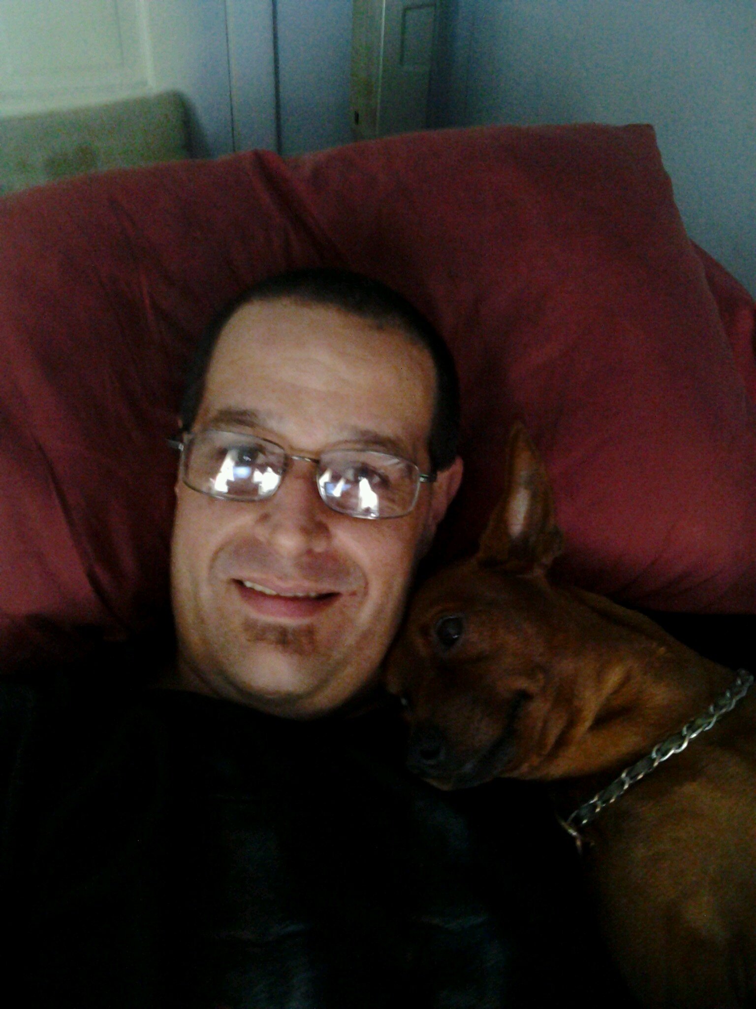 Love dogs, hockey, cars, and chillin at home