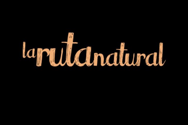 Diplomada en Nutrición Humana y Dietética.