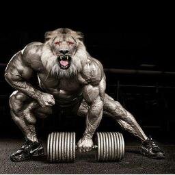 Shoroskopi's profile picture. 