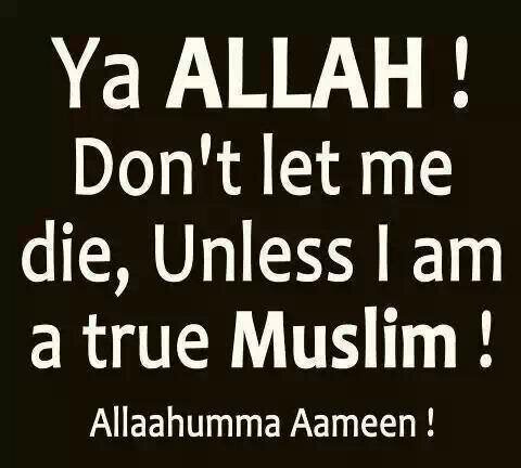 NExcelSpemsa's profile picture. akun resmi #9ExCellentCommuNiTY. Dikelola oleh agent mata mata khusus 9E. twit dr kami ditandai dg inisial agent yg bertugas !